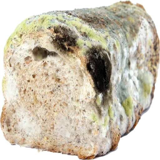 Эмодзи Moldy