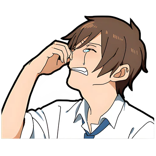 Стикер Повар кун 2