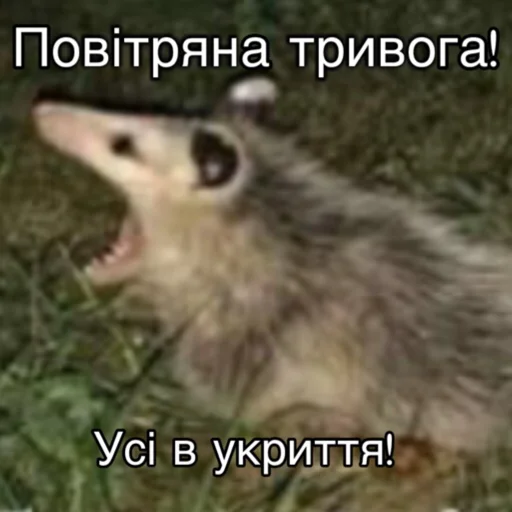 Стикер Повітряна тривога 🚨