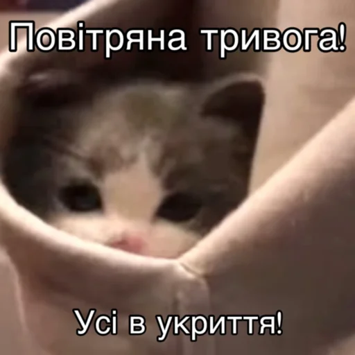 Стикер Повітряна тривога 🚨