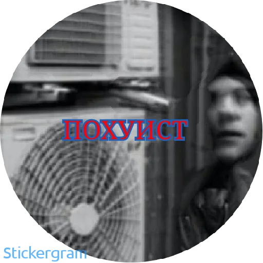 Стикер ПОХУИСТ 🖕