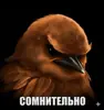 Стикер Birds Memes
