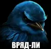 Стикер Birds Memes
