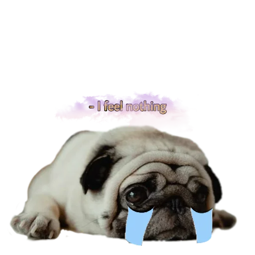 Стикер PUG