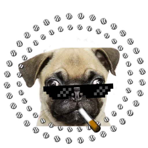 Стикер PUG