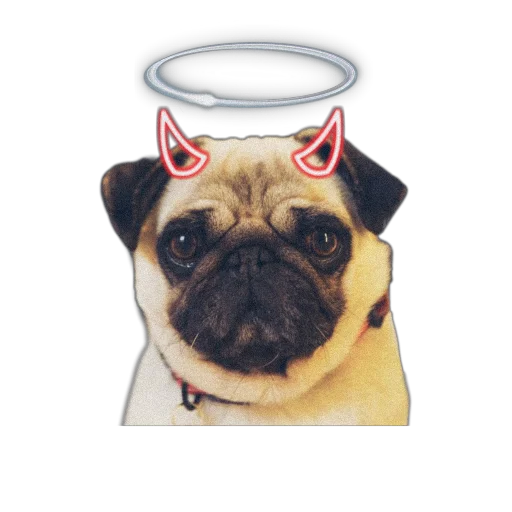 Стикер PUG