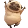 Стикер Милый Мопс