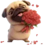 Эмодзи Милый Мопс