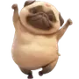 Эмодзи Милый Мопс