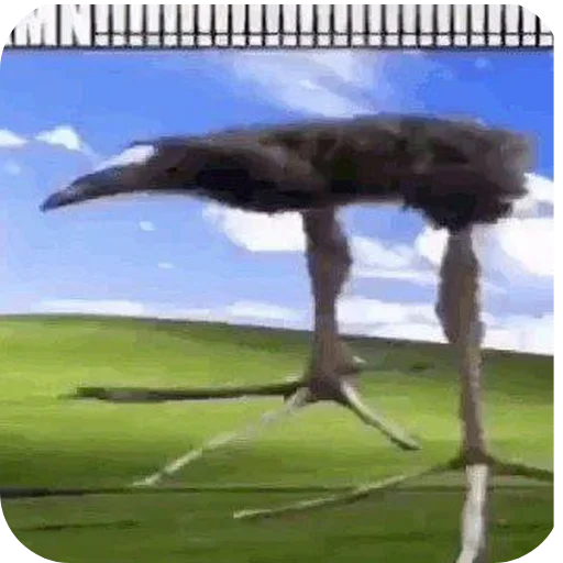 Стикер Пукеко