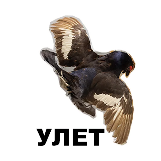 Стикер Среда обитания