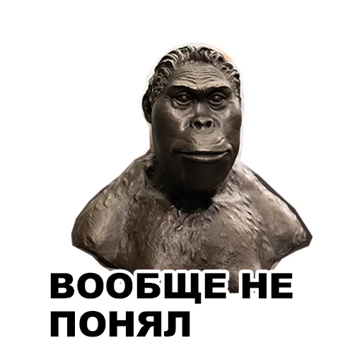 Стикер Среда обитания