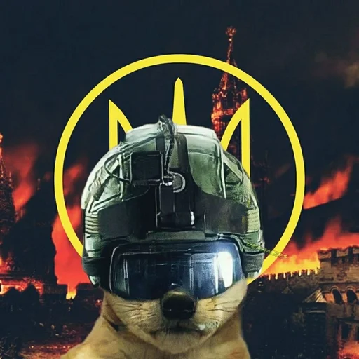 🐕