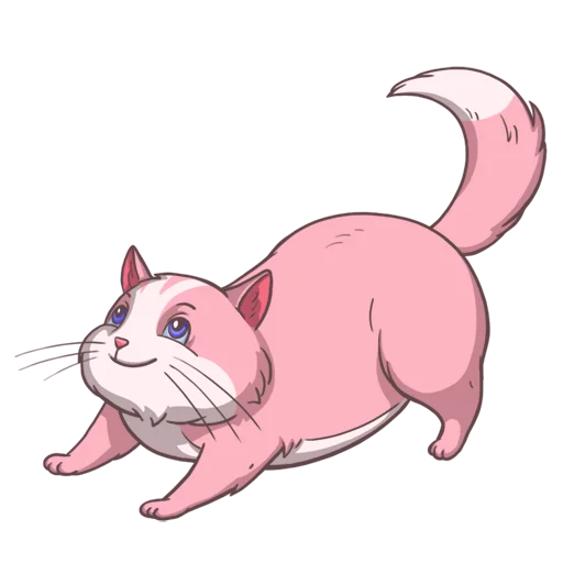 Стикер Random funny cats