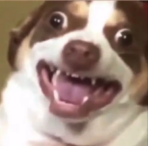 Стикер Repmans_mem