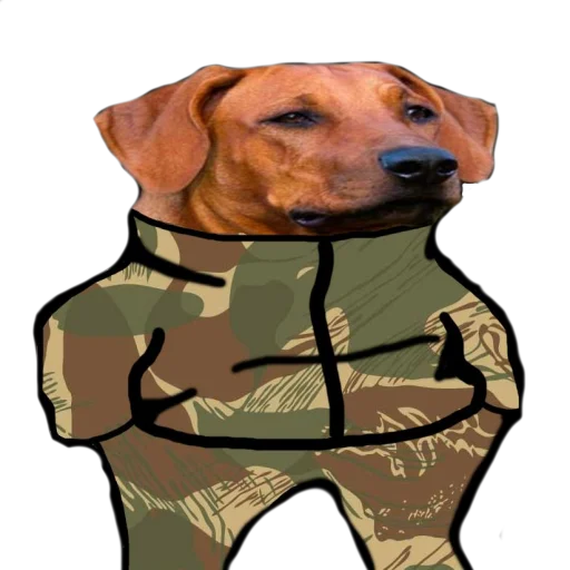 Стикер Fan Rhodesian Pack