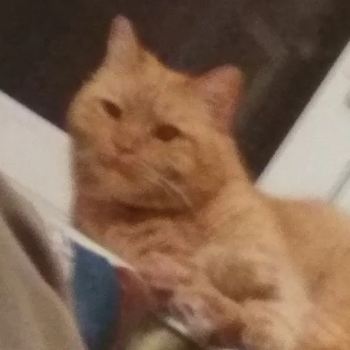 Стикер Рыжик