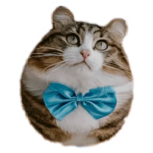 Стикер Round Animals