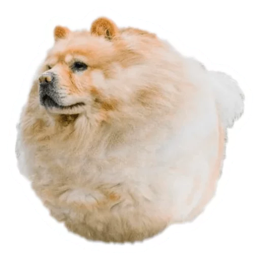 Стикер Round Animals