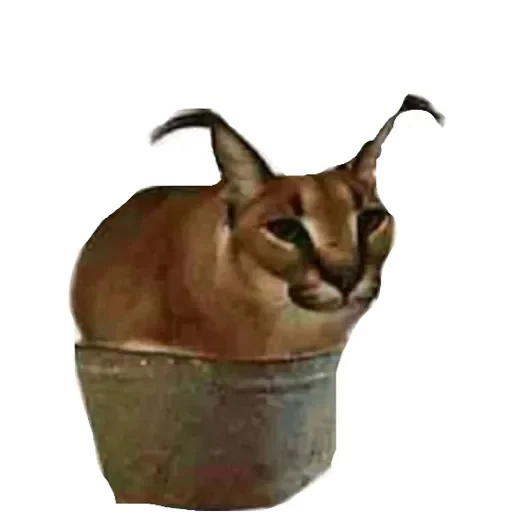 Стикер Шлепа 3