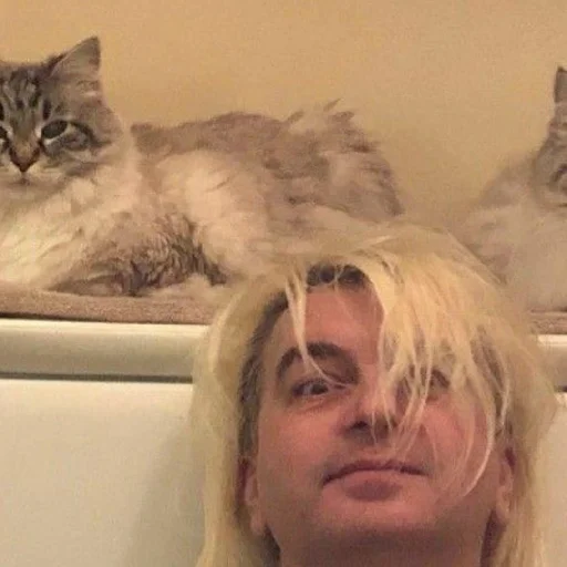 Стикер Шуты