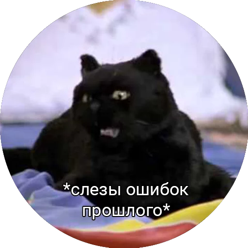 Стикер Кот Салем