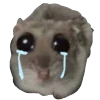 Эмодзи Грустный Хомяк