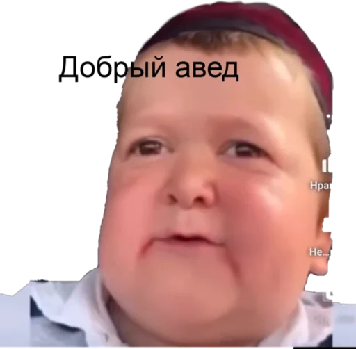 Стикер Хасбик