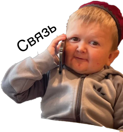 Стикер Хасбик