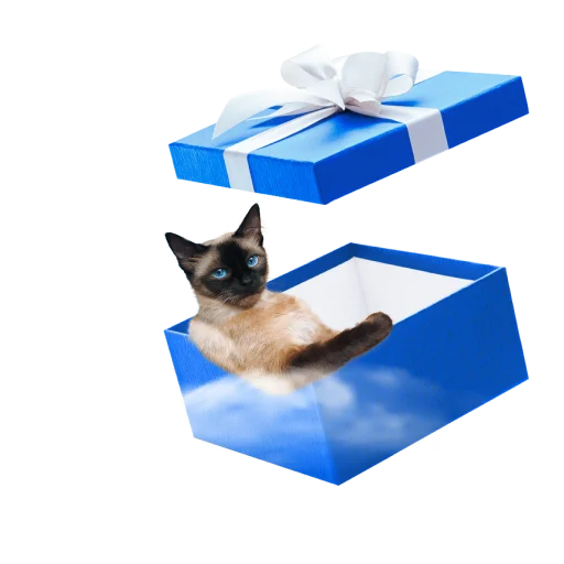 Стикер СамоКот