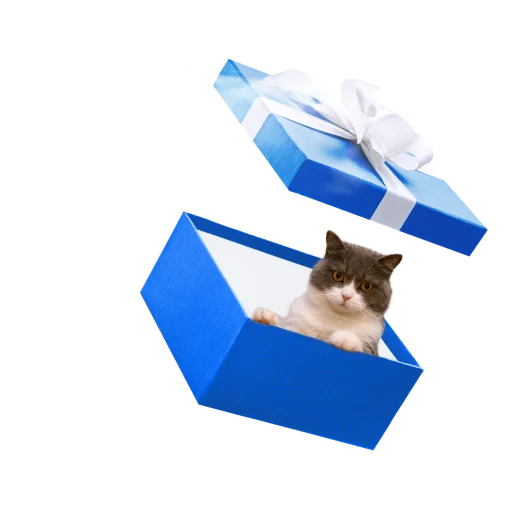 Стикер СамоКот