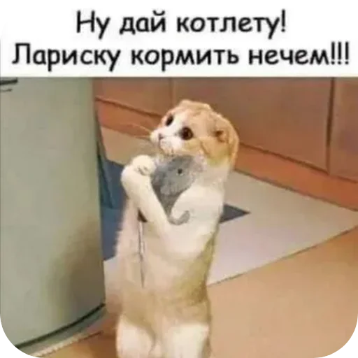 Стикер Cats