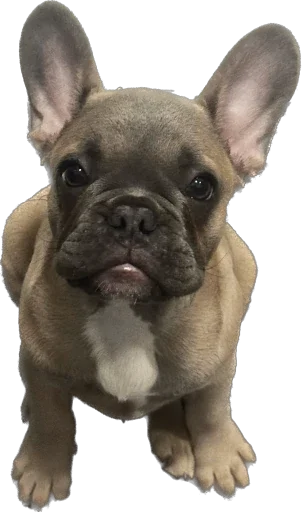 Стикер Marsel’