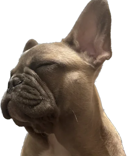 Стикер Marsel’