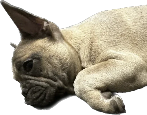 Стикер Marsel’