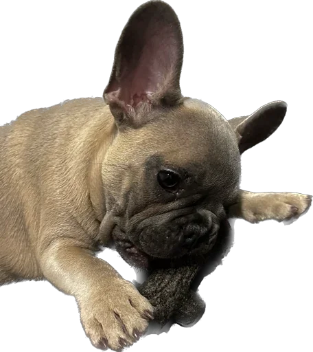 Стикер Marsel’