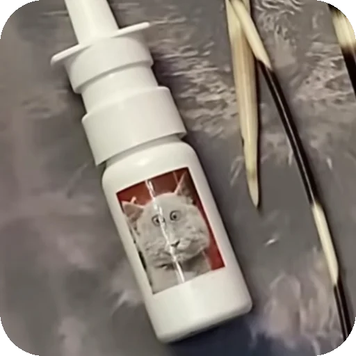 Стикер Серый котик