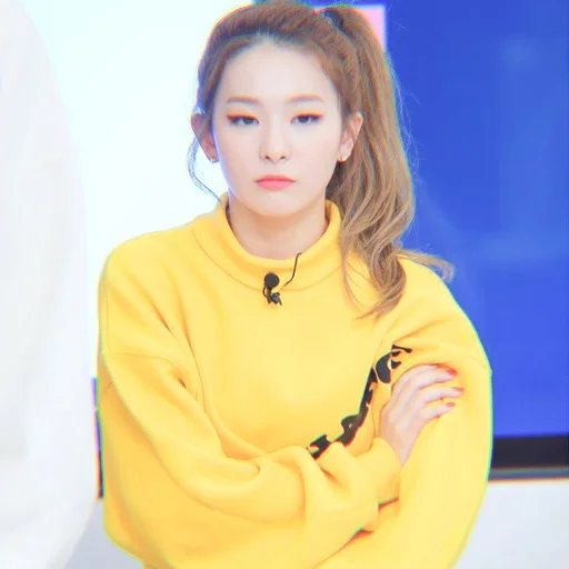 Стикер seulgi