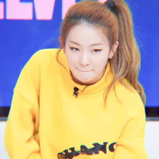 Стикер seulgi