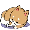 Эмодзи Shiba Puppy