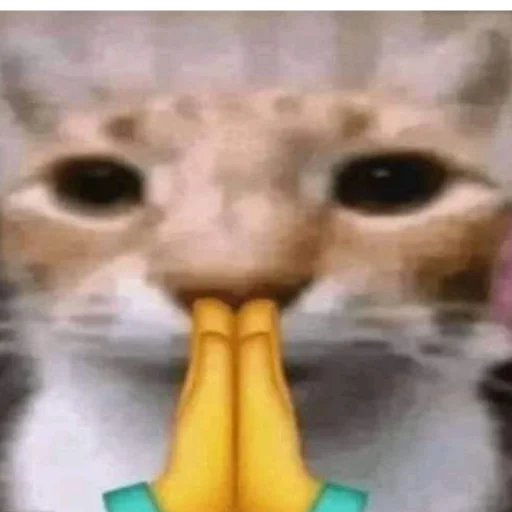 🙏