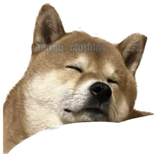 Стикер Siba deni