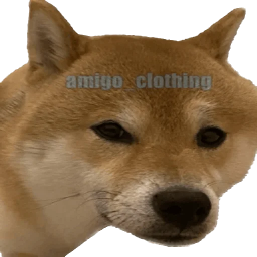 Стикер Siba deni