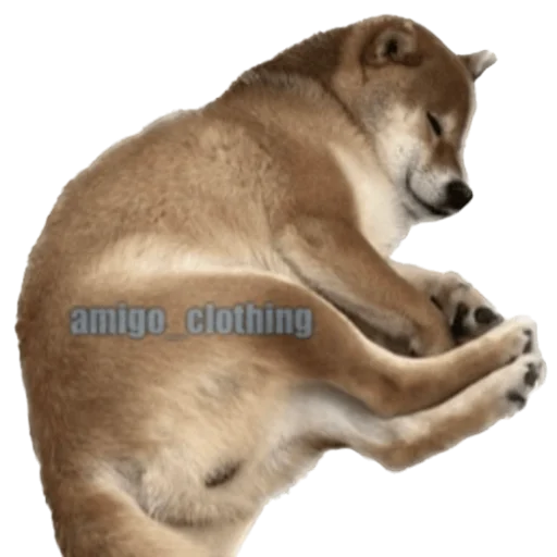 Стикер Siba deni