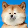 Стикер Shiba inu