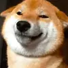 Стикер Shiba inu