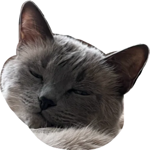 Стикер Sidkozel