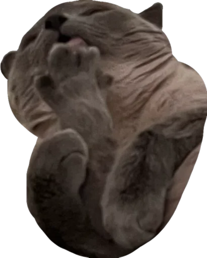 Стикер Sidkozel