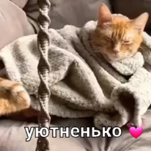 Стикер Симбочка Пимпочка