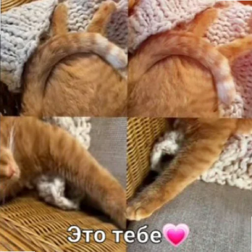 Стикер Симбочка Пимпочка